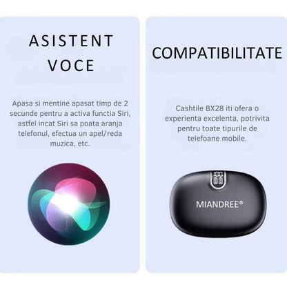 Casti Wireless Sport, MIANDREE® ActiveBuds, True Wireless, Bluetooth 5.3, In-Ear, Microfon Handsfree, Anulare Zgomot, Voice Assistant, Autonomie 40 Ore, Rezistente la Transpiratie, Afisaj LED, Negru